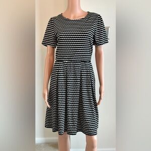 Draper James Preppy Black White Striped Full Skirt Short Sleeve Dress Medium